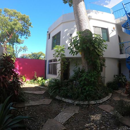 Casa Arbol De Paz Habitacion Doble Chacala  Exterior photo